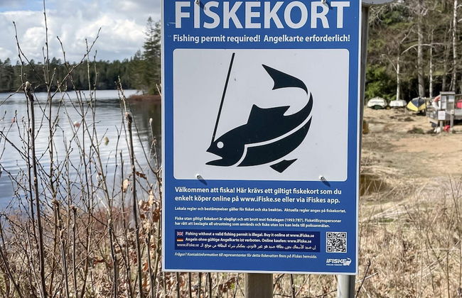 4 Star Holiday Home in Holsljunga - Photo 11