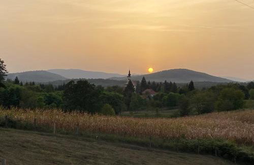 Mrežnica - Zelena oaza - Foto 37