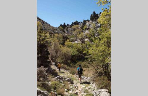 Hani Kastania - Chania retreat for families and groups for holidays and workshops - Foto 35