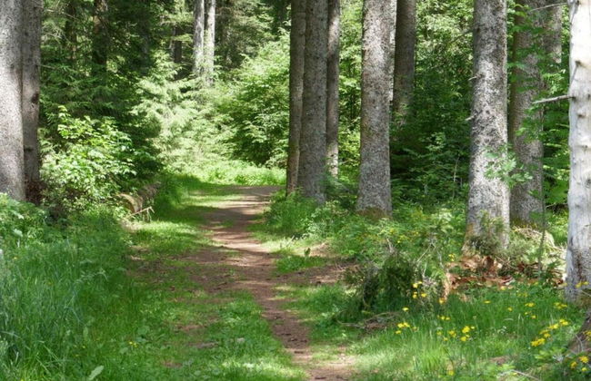 Lush Apartment in Furtwangen near Black Forest with Balcony - Foto 31