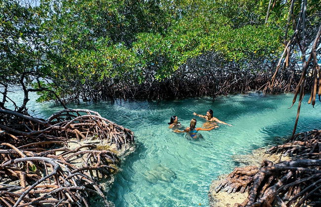 Excursion privée à Cayo Caracoles - Photo 6
