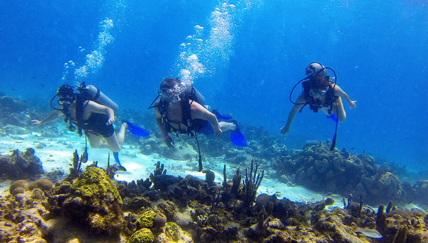 Tauchausflug - Foto 4