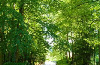 Valle Crucis Farm - Foto 7