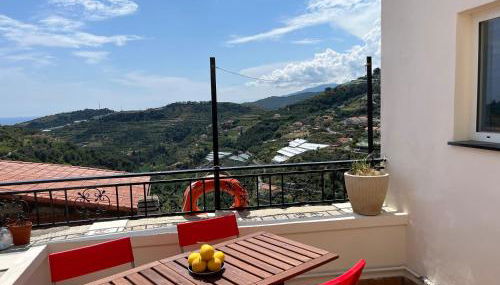 Il sole sopra gli ulivi - Foto 3