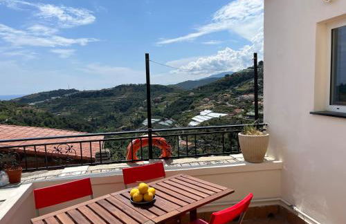 Il sole sopra gli ulivi - Foto 3