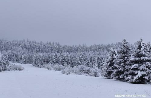 Apartman Mali raj - Foto 76