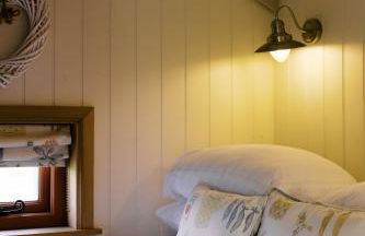 Shepherd's Hut- Hot Tub- Wellness Spa- Wood Burner - Foto 16