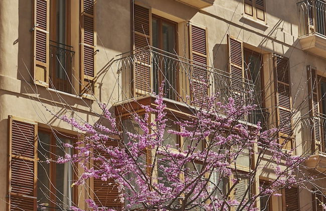 Boutique Hotel Suite Apartment 2 Bedrooms in Palma - Photo 12