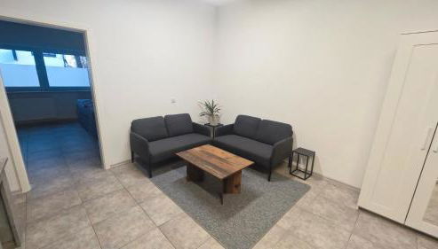 Urlaub am Rhein Speyer Hockenheim Mannheim - Foto 2