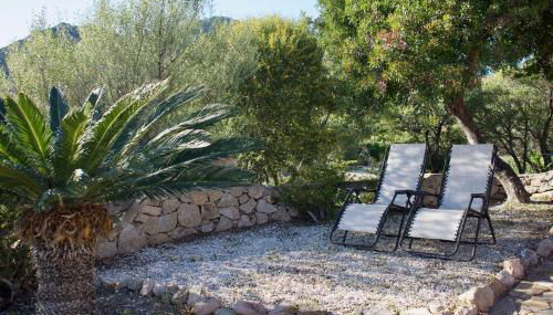Villa con Splendido Giardino e Vista Mare a Osseddu - Olbia - Photo 5, Garden, sunbed, Garden view