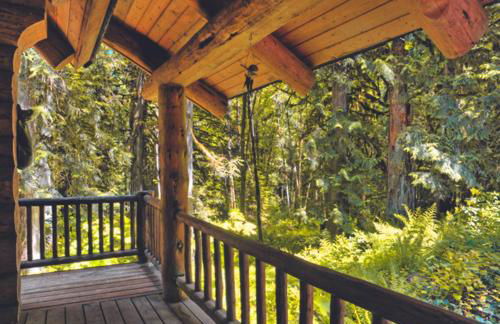 Bear Den Log Cabin - Meredith Lodging - Foto 41