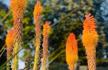 Le Clos de Loré - Foto 25