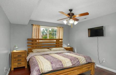 Pet Friendly near AF Academy - Foto 19