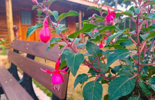 Sopro da Serra Chalés - Foto 81