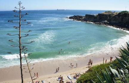 2 Bedroom Apartment House - Sol do Murtal - Photo 89