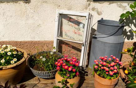 Ferienwohnung Am Eiskeller - Foto 1
