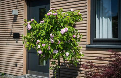 Deine Genuss-Auszeit - Foto 15