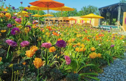 Sternstube – Appartement mit traumhaftem Weitblick - Foto 17