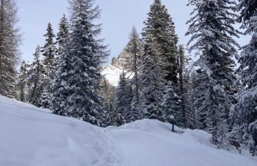 Cedä Meia - Foto 57