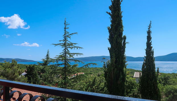 Dilly - Foto 2, View