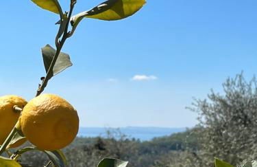 Residence Gli Ulivi - Foto 5