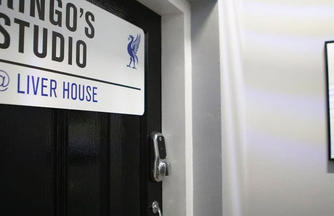 Ringo s Studio Liver House - Foto 2