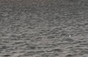 La Terrazza sul Faro - Foto 38