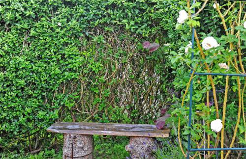 Ruheoase Kummerower See - Foto 18