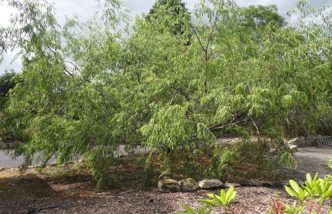 Ethan House Killarney - Foto 43