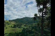 Winter Valley Cabins - Foto 2