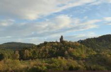 Ferienwohnung "Monte Noble" Südpfalz - Foto 6