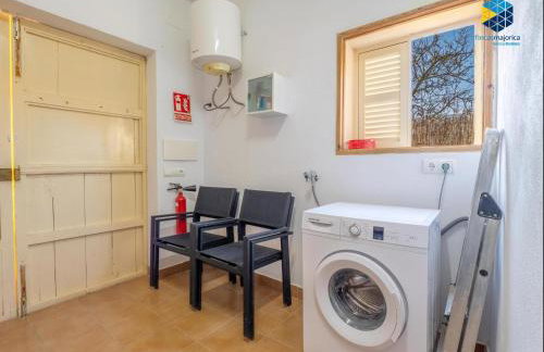 Ca na Planta - Foto 40