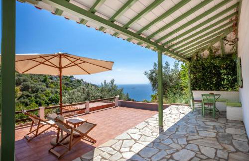 Olea Skopelos villas with swimming pools & sea view - Foto 44