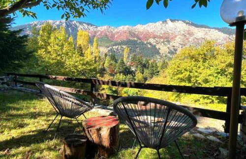 Pinecone Lodge, Eptalofos Wellness Garden Chalet - Foto 38