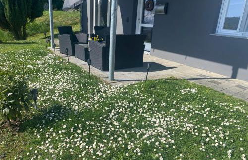 FeWo Silence&View - Foto 3