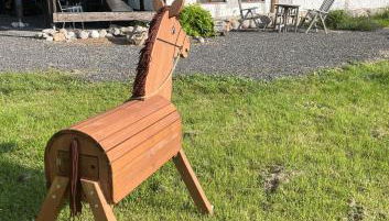 Ruhe unter Reet-Haus mit Sauna, Whirlpool und Kamin - Foto 5, Garden