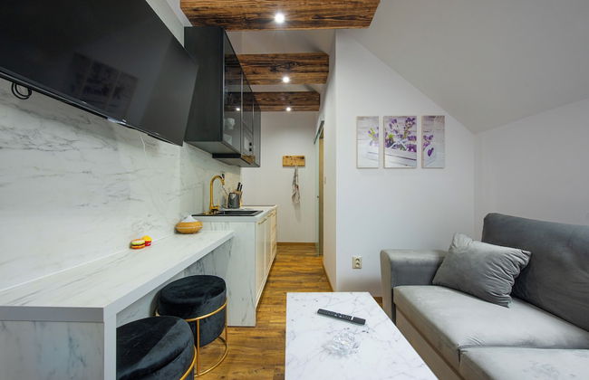 Apartmány Žakovce & SPA - Foto 44