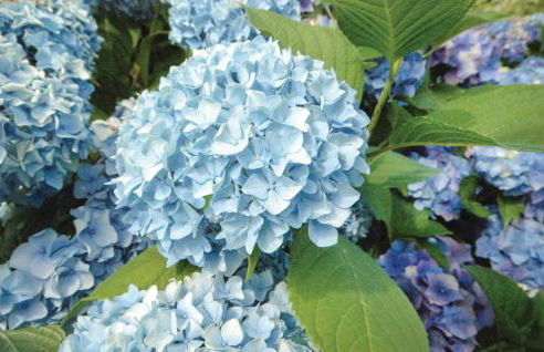 3 Bedroom Gorgeous Home In Plouay - Foto 31