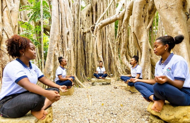 Home The Residence - Photo 51