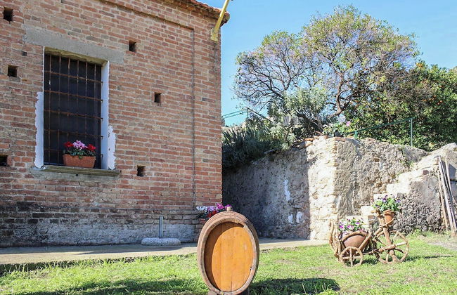 Antica Cantina Emilia - Foto 52