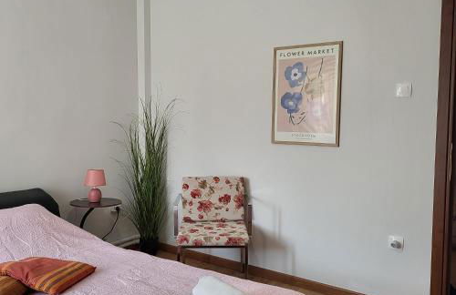 Classico Apartment - Photo 7