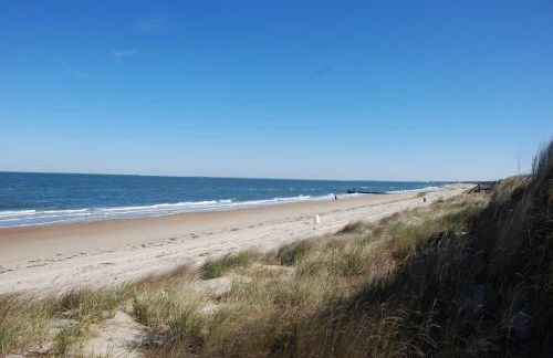 Luxury Beach Side Home home - Photo 16