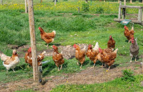 Nutley Farm - Foto 31