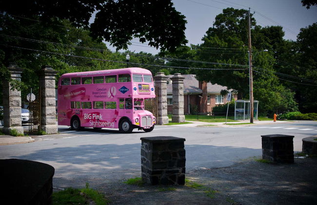 Bus touristique d'Halifax - Photo 5