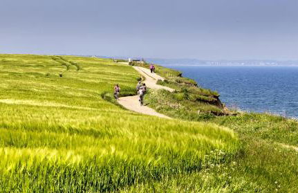 Ferienhaus An der Steilkuste - Photo 29