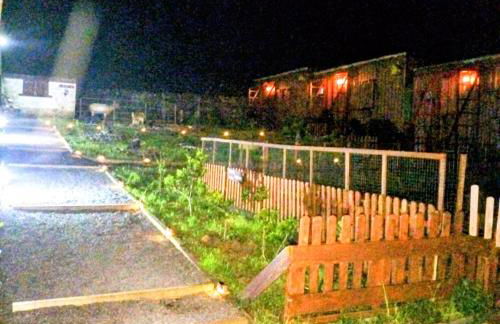 Alojamento Raminho dos Açores - Photo 53