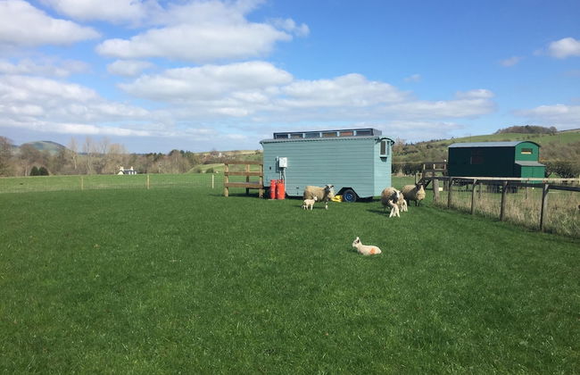 Showman's Hut @ Westcote - Foto 17