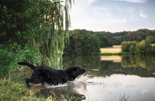 Ferienhaus Rote Sau - Foto 40