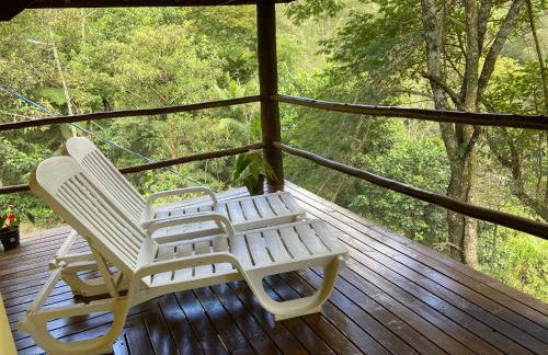 Chácara das Araucárias - Foto 18