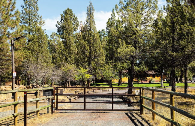 High-end Cabin 3BR 30min to Hoodoo Ski - Foto 20